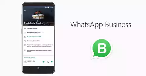 Tu Número Principal Empresarial en WhatsApp Business: ¡Una Fusión de Comunicación Imparable